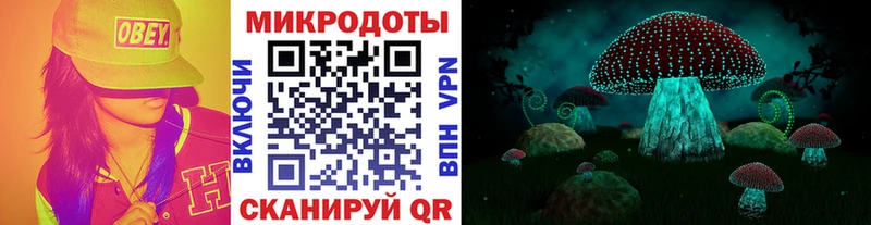 купить   Малгобек  Псилоцибиновые грибы мухоморы 