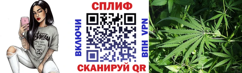 Бошки Шишки MAZAR  Малгобек 